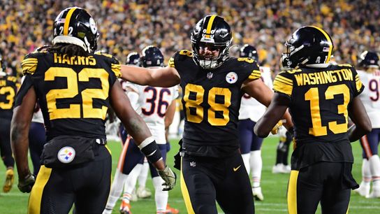 Final:  Steelers 29, Bears 27 taken at Heinz Field (Live coverage)